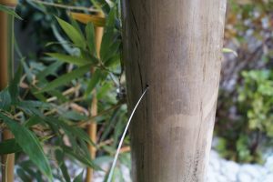 kertépítés bambusszal