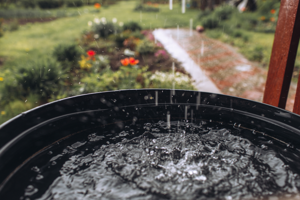 Esővízgyűjtés Otthon: Minden, amit érdemes tudni az esővízgyűjtési rendszerekről 